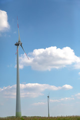 zwei Windr&auml;der auf einem Maisfeld drehen sich und erzeugen Strom