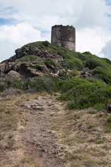 sentiero per la torre