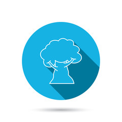 Oak tree icon. Forest wood sign.