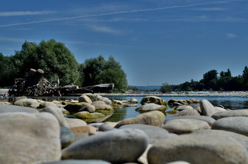 Flusslandschaft am Rhein