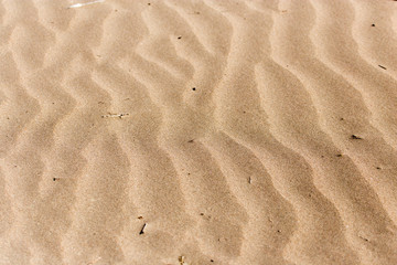 background of sand in nature