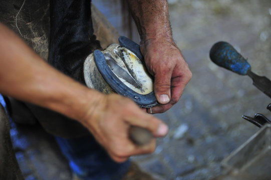 Farrier at work