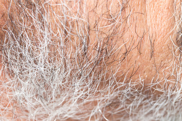 hair of the beard. close-up