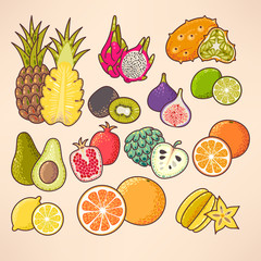 Exotic fruits set