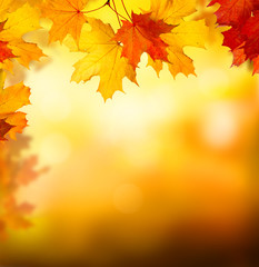 Naklejka na ściany i meble Background of falling autumn leaves