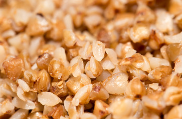 buckwheat groats as background. close