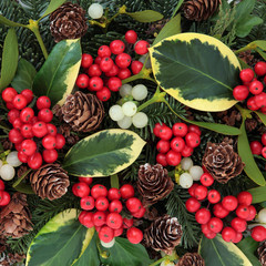 Holly and Winter Flora