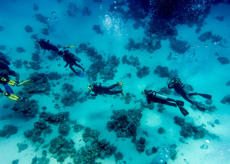 Diving trip at the bottom of the ground, egypt