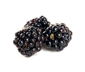 blackberrries isolated on white