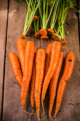 Farm fresh carrots from above