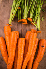 Farm fresh carrots from above