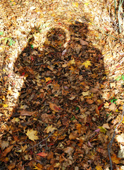  lover's  shadow