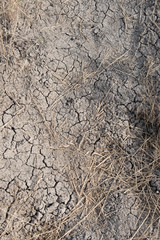 Texture of cracked soil and dead grass from dry drought stricken American west.
