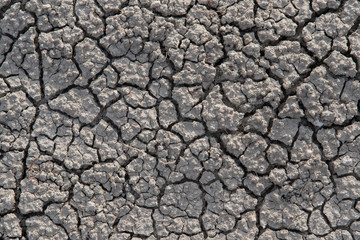 Close up detail of cracked soil caused by very dry weather (drought) and a high clay content.