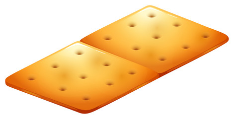 Butter cracker on white