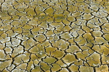 Dry ground