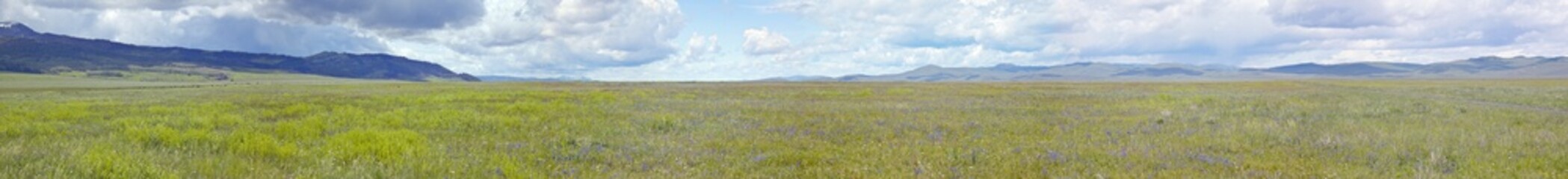 Fototapeta premium Panoramic view of spring grasslands and mountains in Centennial Valley near Lakeview, MT