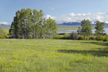 Red Rock Lake in Centennial Valley near Lakeview, MT