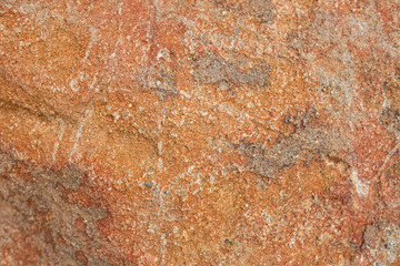 The Petrified Wood Texture Background