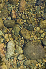 Rock in autumn stream at Crawford Notch State Park in White Mountains of New Hampshire, New England