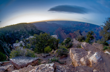 grand canyon under moon and star light