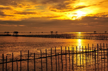 Fototapeta premium Seaside Landscape at Sunrise