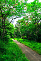 Cuc Phuong National Park in Ninh Binh, Vietnam
