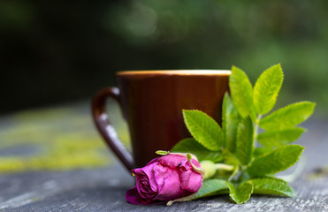 cup of rose hip tea. Shooting in the nature.