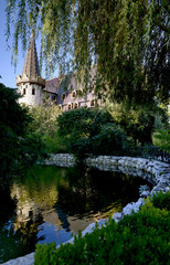 castle reflections