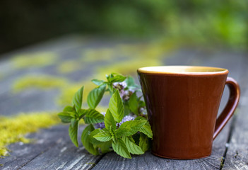 cup of mint tea in nature.