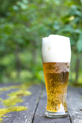 Glass of beer in nature.