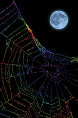 月と蜘蛛の巣