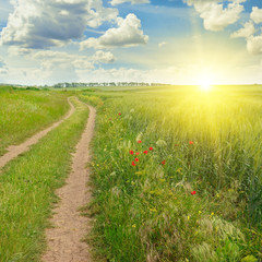 green field and sun on blue sky