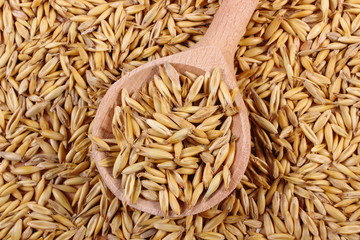Organic oat grains with wooden spoon, healthy nutrition