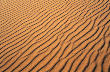 Close up of sand in Coral Pink Sand Dunes State Park, southern UT