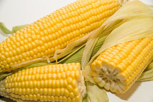 Several ears of corn on over white