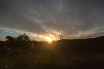 Fototapeta premium Dawn in village.