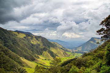 Valée de Cocora en Colombie ( Salento ) 