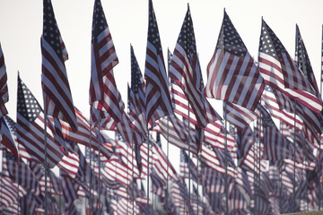 3000 Flags, September 11, 2009, Malibu CA