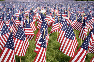 20,000 American Flags are displayed for every resident of Massachusetts who died in a war over the...