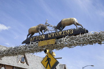 Elk butt heads on Main Street sign, Afton, Wyoming