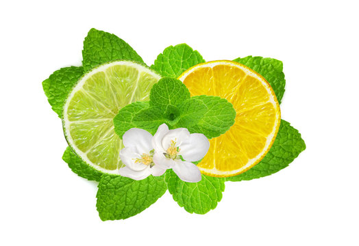 Lemon and lime slices on fresh mint isolated on white