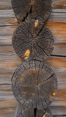 Текстура дерева на старых постройках © PomorFox