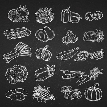 Vector set of different hand drawn decorative vegetable .