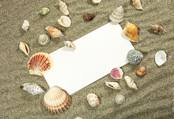 Postcard Shell