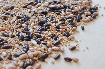 Beans and farro vegetables with copyspace