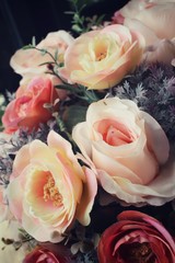 Vintage roses
