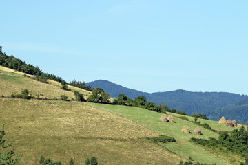 Fototapeta premium mountain rural landscape west Serbia