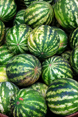 Many big sweet green watermelons