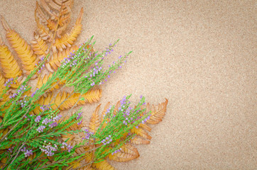 fall still life composition